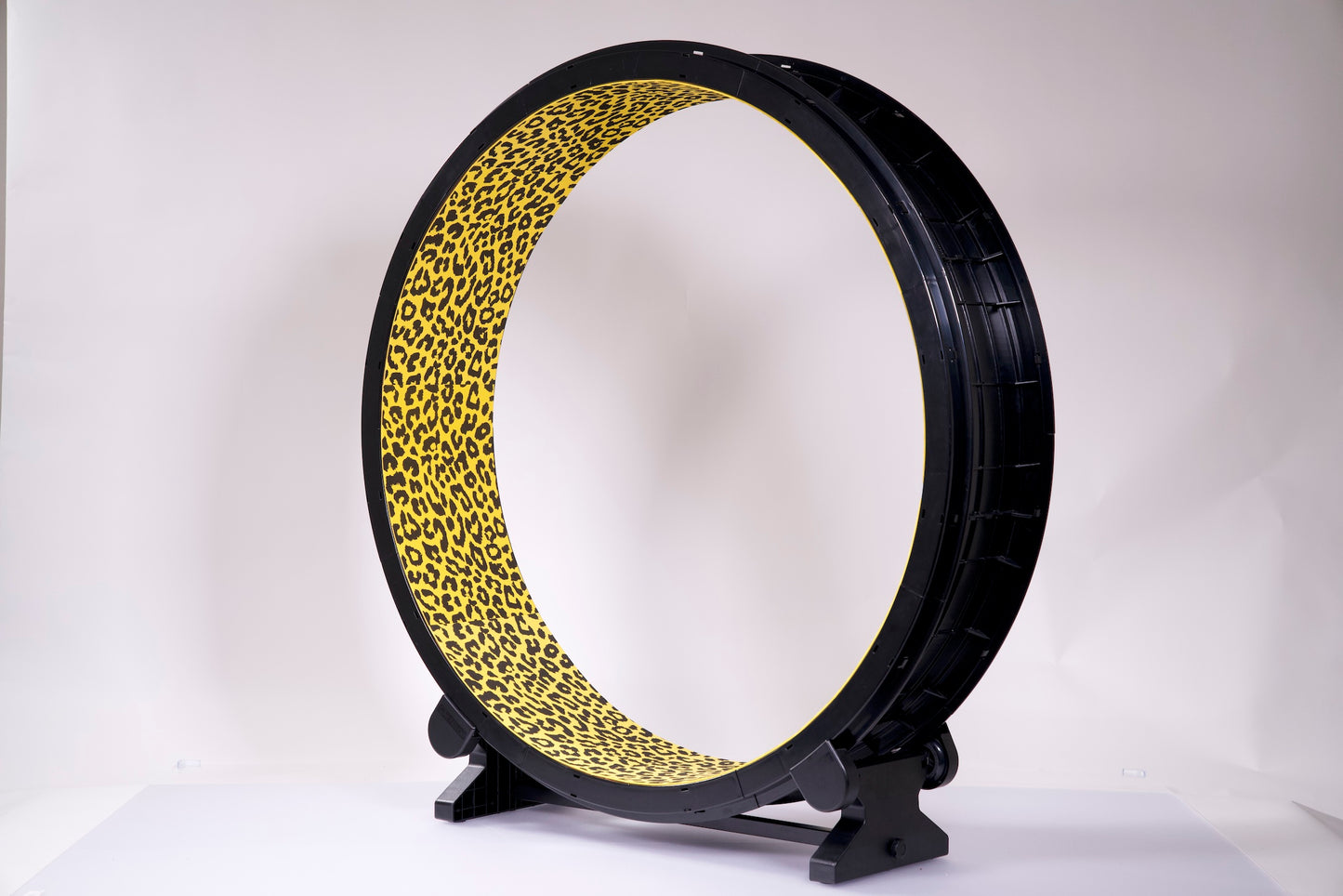 One Fast Cat Wheel Generation 6