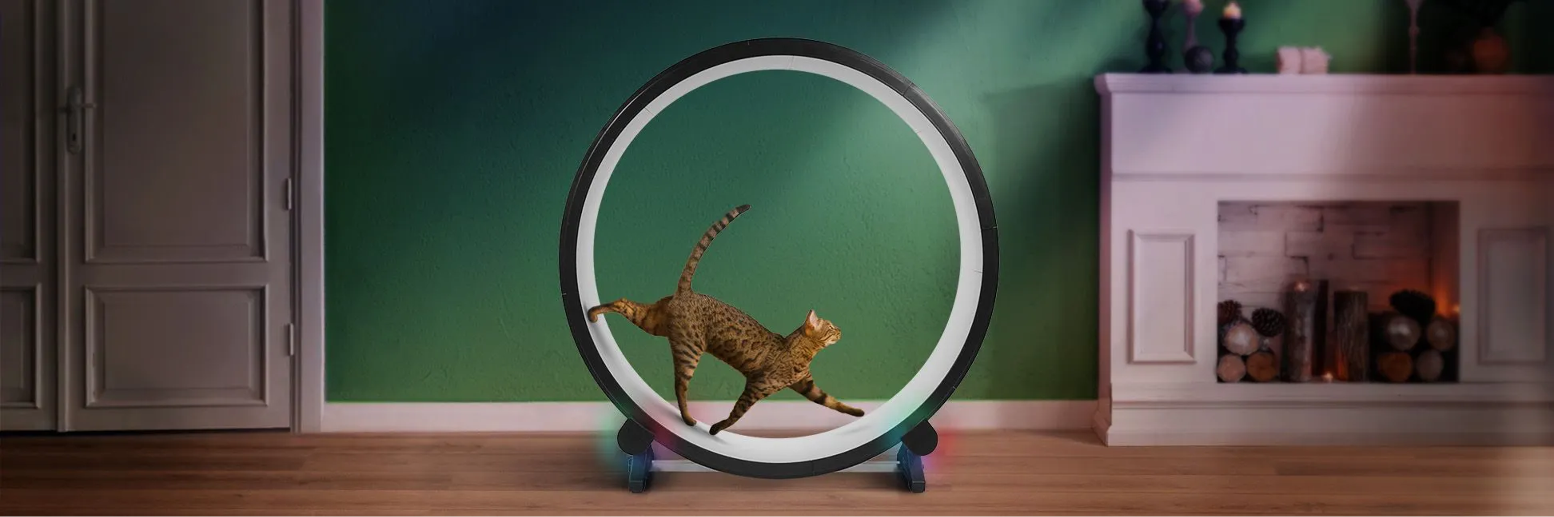 Cat wheel top