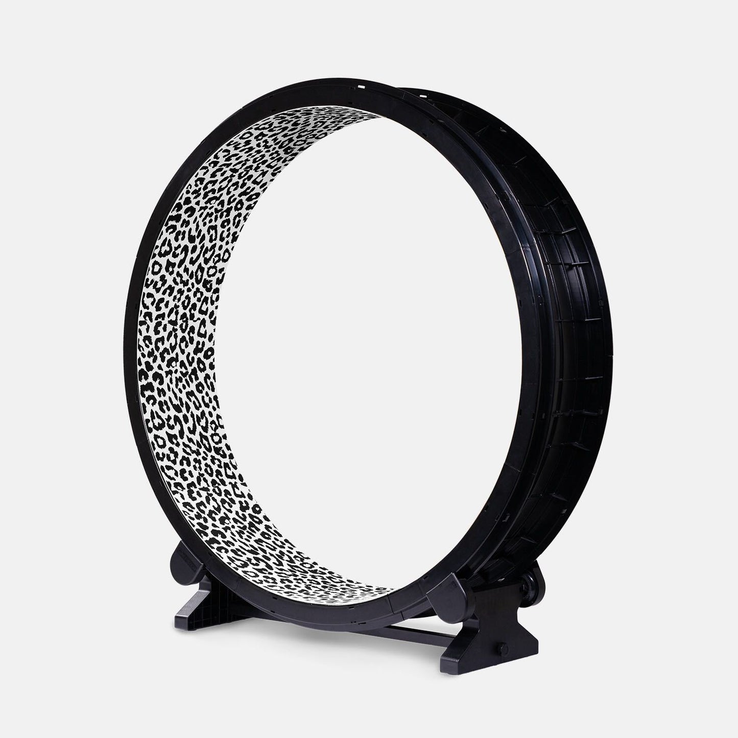 One Fast Cat Wheel Generation 6